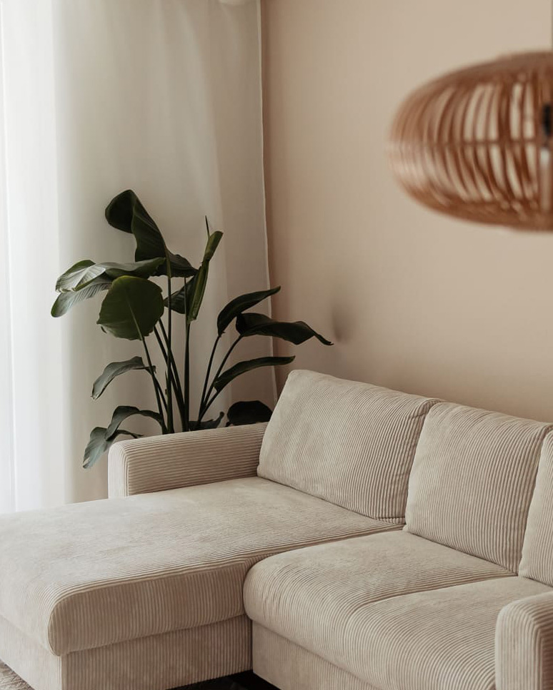 Homestudio in Zürich | Altermatt Photography