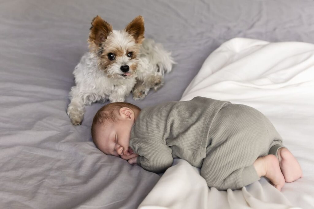 Natürliche Bilder von Baby mit Hund zuhause